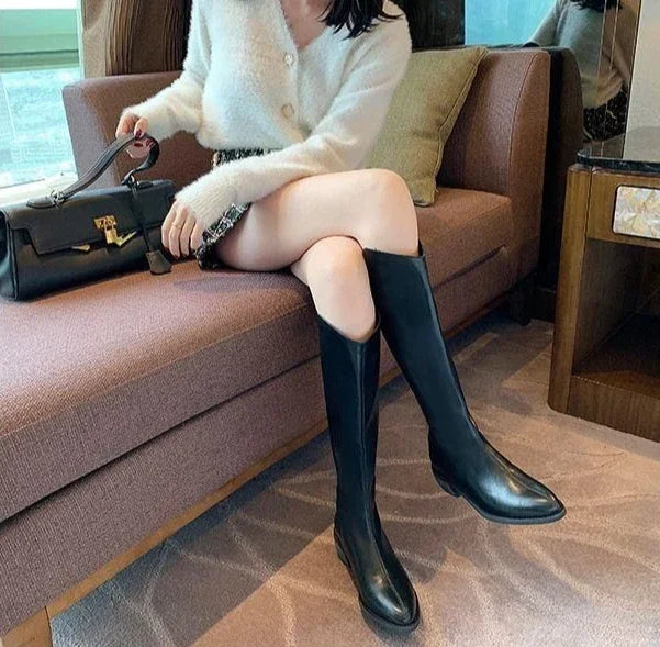 Long Boots for Women Middle Heel Spring Autumn Pointed Toe Quality Knee High Shaft Shoes Woman Work Y2k Hot Gyaru Cosplay New In