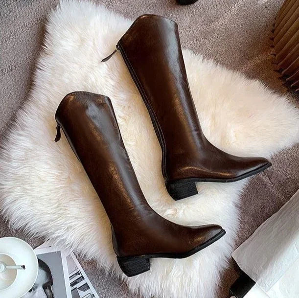 Long Boots for Women Middle Heel Spring Autumn Pointed Toe Quality Knee High Shaft Shoes Woman Work Y2k Hot Gyaru Cosplay New In
