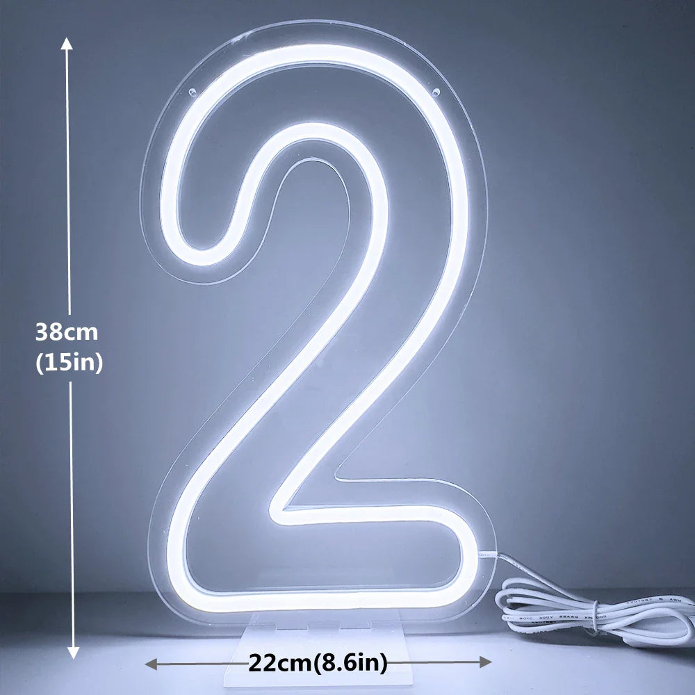 Glowing Numbers 0 to 9 LED Neon Lights 30cm  Numbers for Birthday Party Anniversary Event Home Bar Hotel Art Decoration