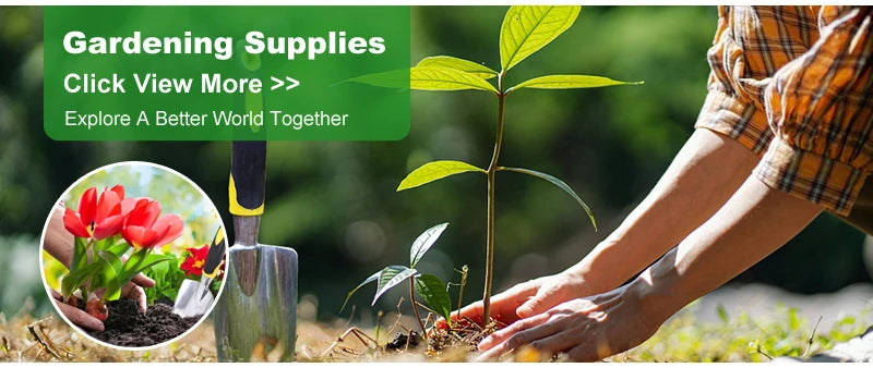 Plant Tent Growing Plants For Home Grow Accessories Greenhouse Tents Garden Supplies Indoor Cultivation Growtent Box Outdoor