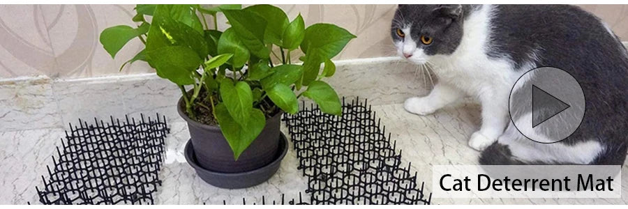 Plant Tent Growing Plants For Home Grow Accessories Greenhouse Tents Garden Supplies Indoor Cultivation Growtent Box Outdoor