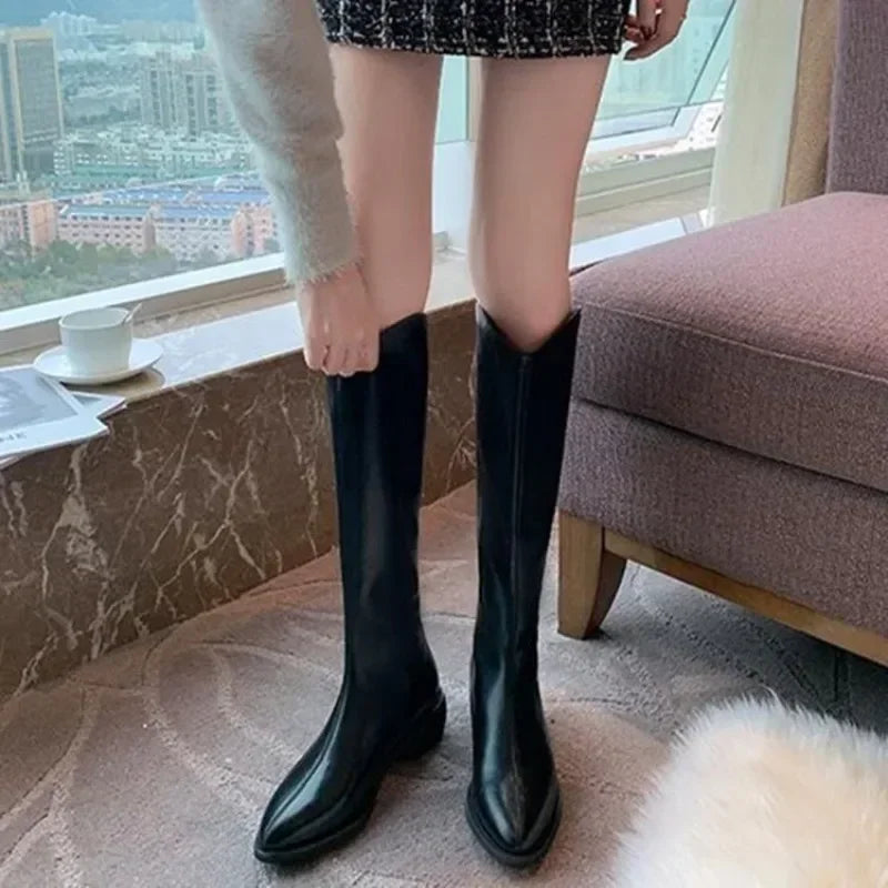 Long Boots for Women Middle Heel Spring Autumn Pointed Toe Quality Knee High Shaft Shoes Woman Work Y2k Hot Gyaru Cosplay New In