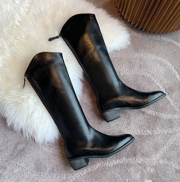 Long Boots for Women Middle Heel Spring Autumn Pointed Toe Quality Knee High Shaft Shoes Woman Work Y2k Hot Gyaru Cosplay New In