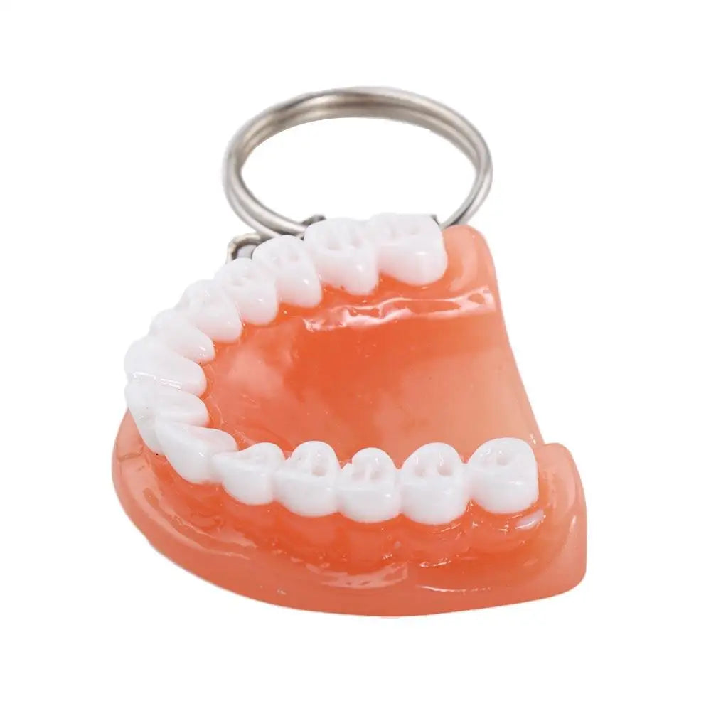 Decoration Dental Accessories Teeth Shape Simulation Upper Jaw Teeth Pendant Tooth Key Chain Denture Key Chain Teeth Keyring