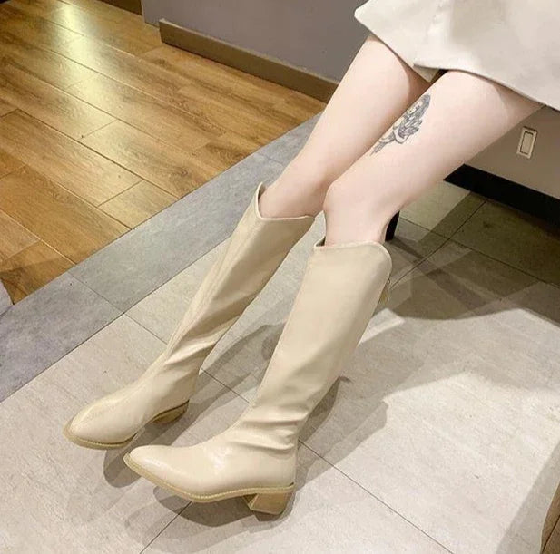 Long Boots for Women Middle Heel Spring Autumn Pointed Toe Quality Knee High Shaft Shoes Woman Work Y2k Hot Gyaru Cosplay New In