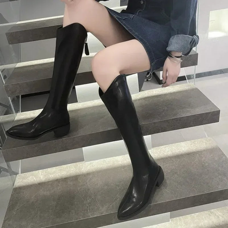 Long Boots for Women Middle Heel Spring Autumn Pointed Toe Quality Knee High Shaft Shoes Woman Work Y2k Hot Gyaru Cosplay New In