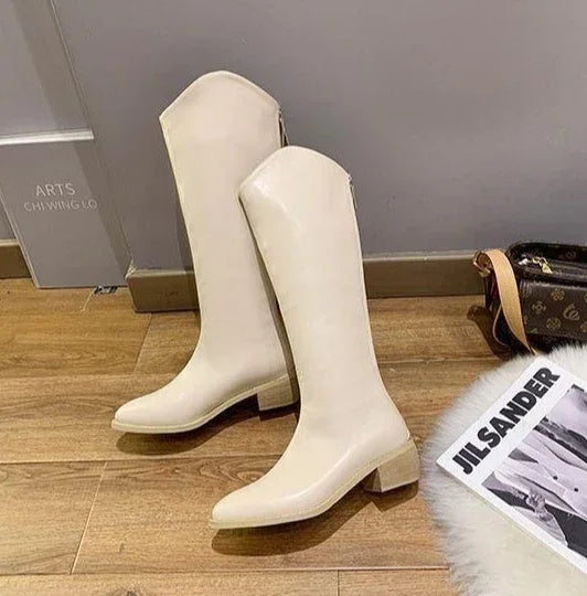 Long Boots for Women Middle Heel Spring Autumn Pointed Toe Quality Knee High Shaft Shoes Woman Work Y2k Hot Gyaru Cosplay New In