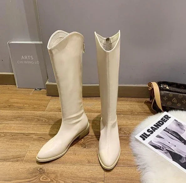 Long Boots for Women Middle Heel Spring Autumn Pointed Toe Quality Knee High Shaft Shoes Woman Work Y2k Hot Gyaru Cosplay New In