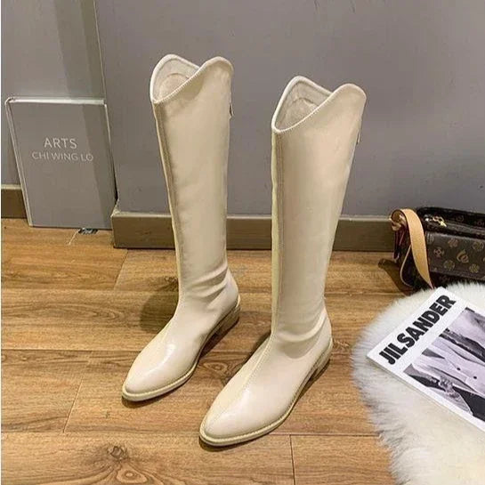 Long Boots for Women Middle Heel Spring Autumn Pointed Toe Quality Knee High Shaft Shoes Woman Work Y2k Hot Gyaru Cosplay New In