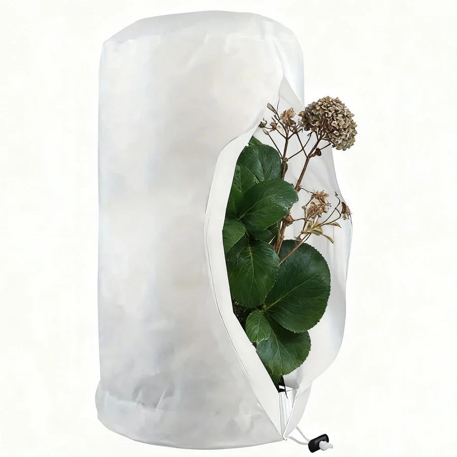 Plant Tent Growing Plants For Home Grow Accessories Greenhouse Tents Garden Supplies Indoor Cultivation Growtent Box Outdoor