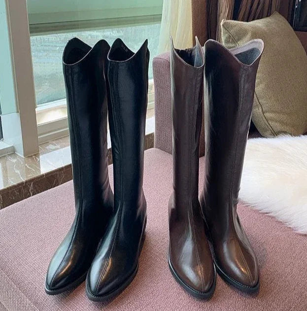 Long Boots for Women Middle Heel Spring Autumn Pointed Toe Quality Knee High Shaft Shoes Woman Work Y2k Hot Gyaru Cosplay New In