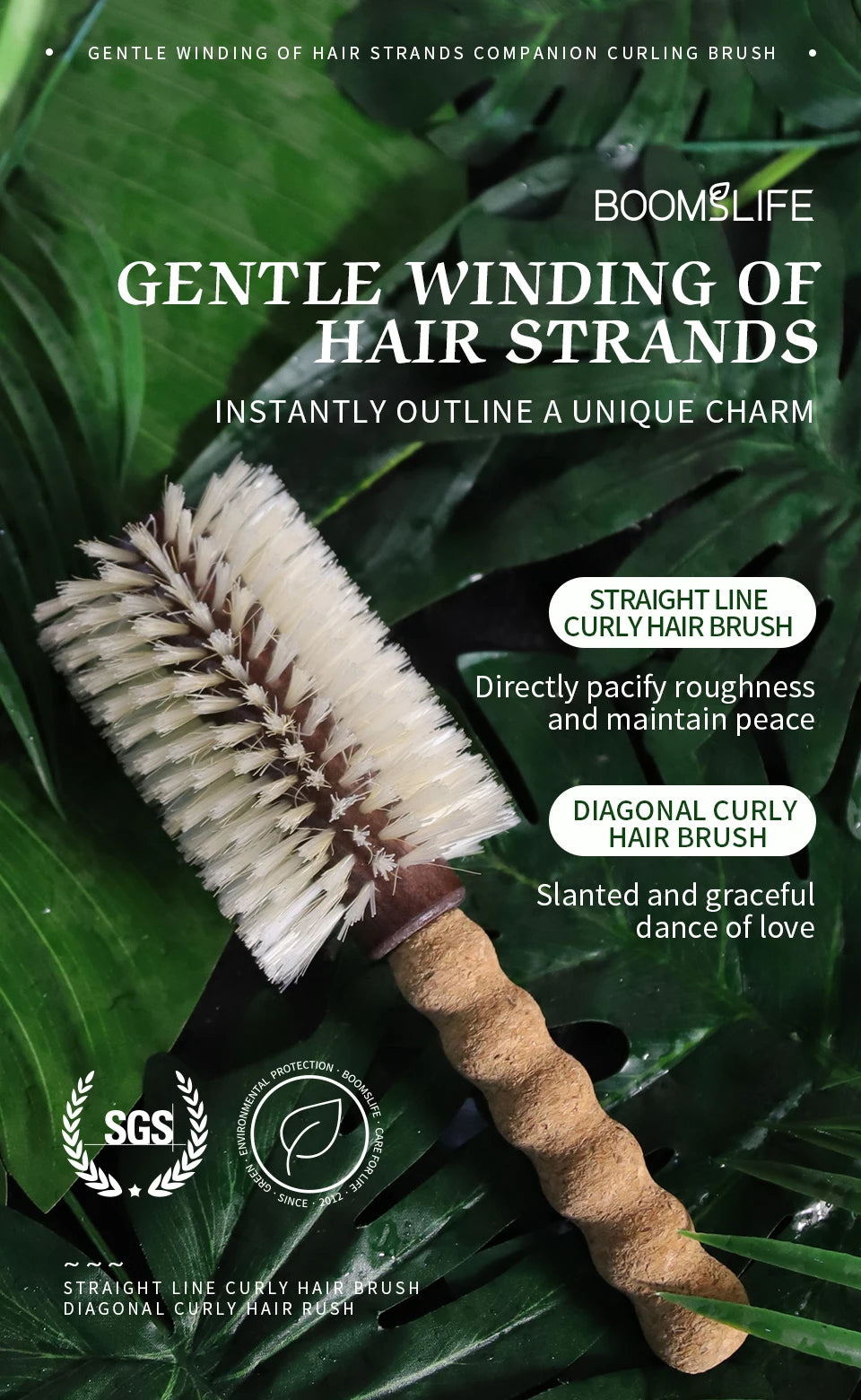 Personalized Boar Bristles Hair Brush Cork handle Round Barrel Hair Comb For Curling  Anti Static Roller HairBrush Wood Combs