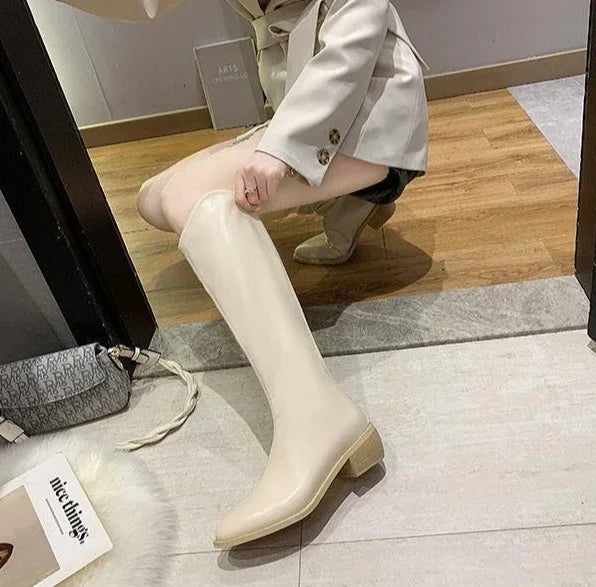 Long Boots for Women Middle Heel Spring Autumn Pointed Toe Quality Knee High Shaft Shoes Woman Work Y2k Hot Gyaru Cosplay New In