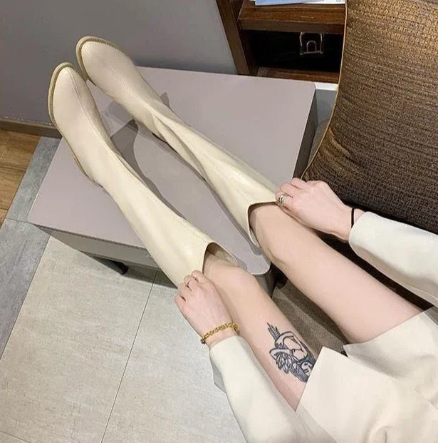 Long Boots for Women Middle Heel Spring Autumn Pointed Toe Quality Knee High Shaft Shoes Woman Work Y2k Hot Gyaru Cosplay New In