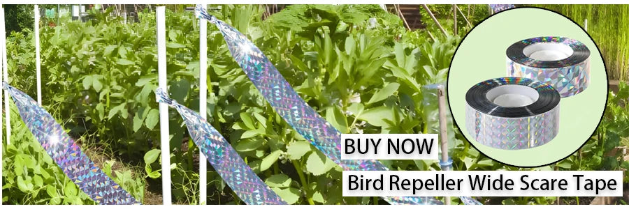 Plant Tent Growing Plants For Home Grow Accessories Greenhouse Tents Garden Supplies Indoor Cultivation Growtent Box Outdoor
