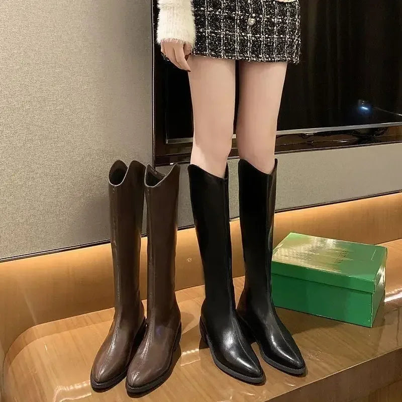 Long Boots for Women Middle Heel Spring Autumn Pointed Toe Quality Knee High Shaft Shoes Woman Work Y2k Hot Gyaru Cosplay New In