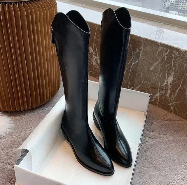 Long Boots for Women Middle Heel Spring Autumn Pointed Toe Quality Knee High Shaft Shoes Woman Work Y2k Hot Gyaru Cosplay New In