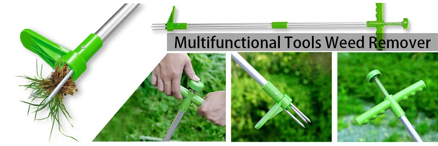 Plant Tent Growing Plants For Home Grow Accessories Greenhouse Tents Garden Supplies Indoor Cultivation Growtent Box Outdoor