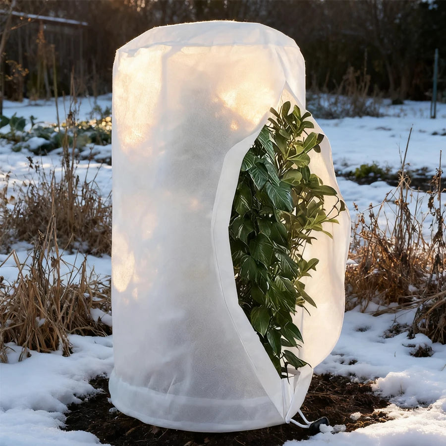 Plant Tent Growing Plants For Home Grow Accessories Greenhouse Tents Garden Supplies Indoor Cultivation Growtent Box Outdoor