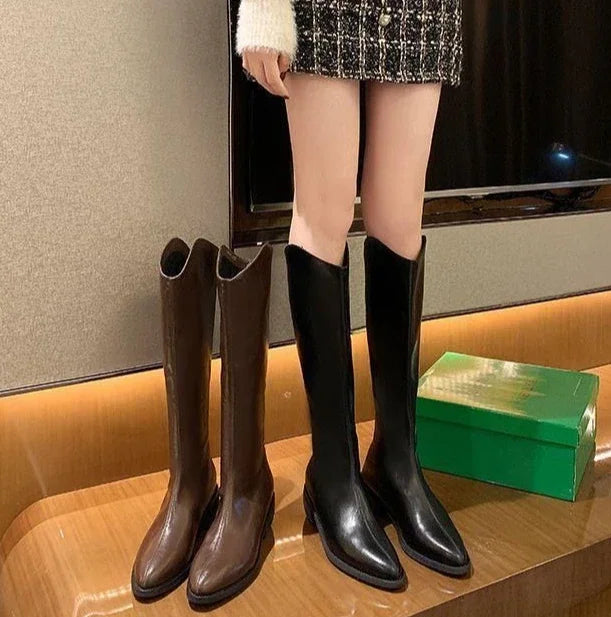 Long Boots for Women Middle Heel Spring Autumn Pointed Toe Quality Knee High Shaft Shoes Woman Work Y2k Hot Gyaru Cosplay New In
