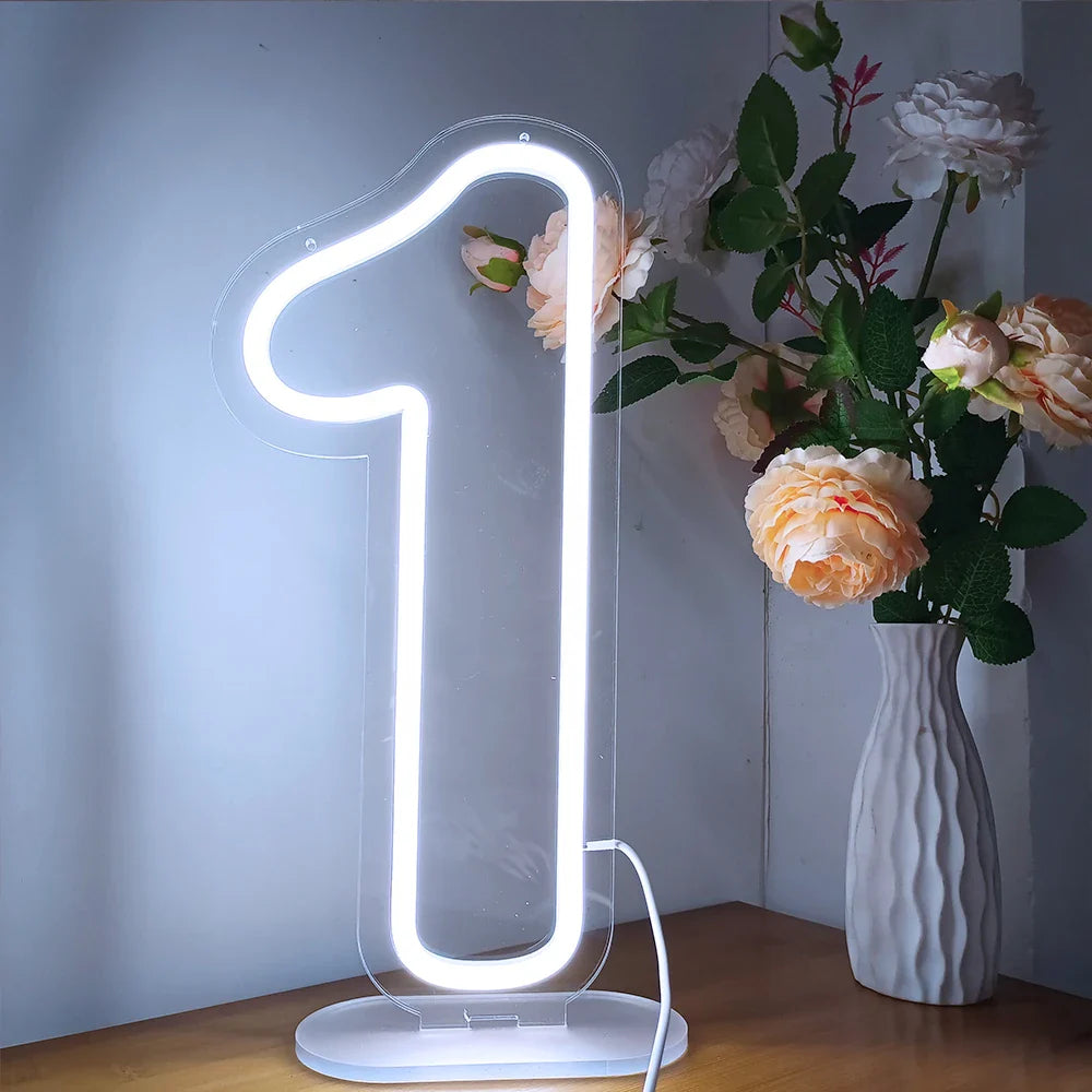 Glowing Numbers 0 to 9 LED Neon Lights 30cm  Numbers for Birthday Party Anniversary Event Home Bar Hotel Art Decoration