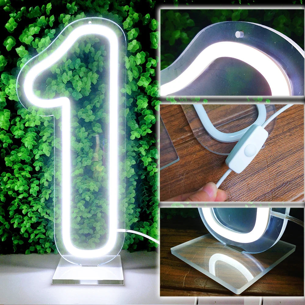 Glowing Numbers 0 to 9 LED Neon Lights 30cm  Numbers for Birthday Party Anniversary Event Home Bar Hotel Art Decoration