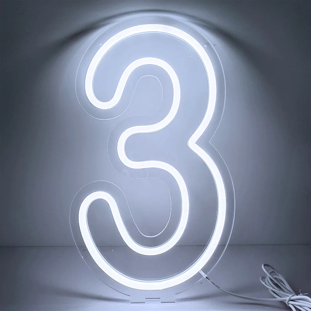 Glowing Numbers 0 to 9 LED Neon Lights 30cm  Numbers for Birthday Party Anniversary Event Home Bar Hotel Art Decoration