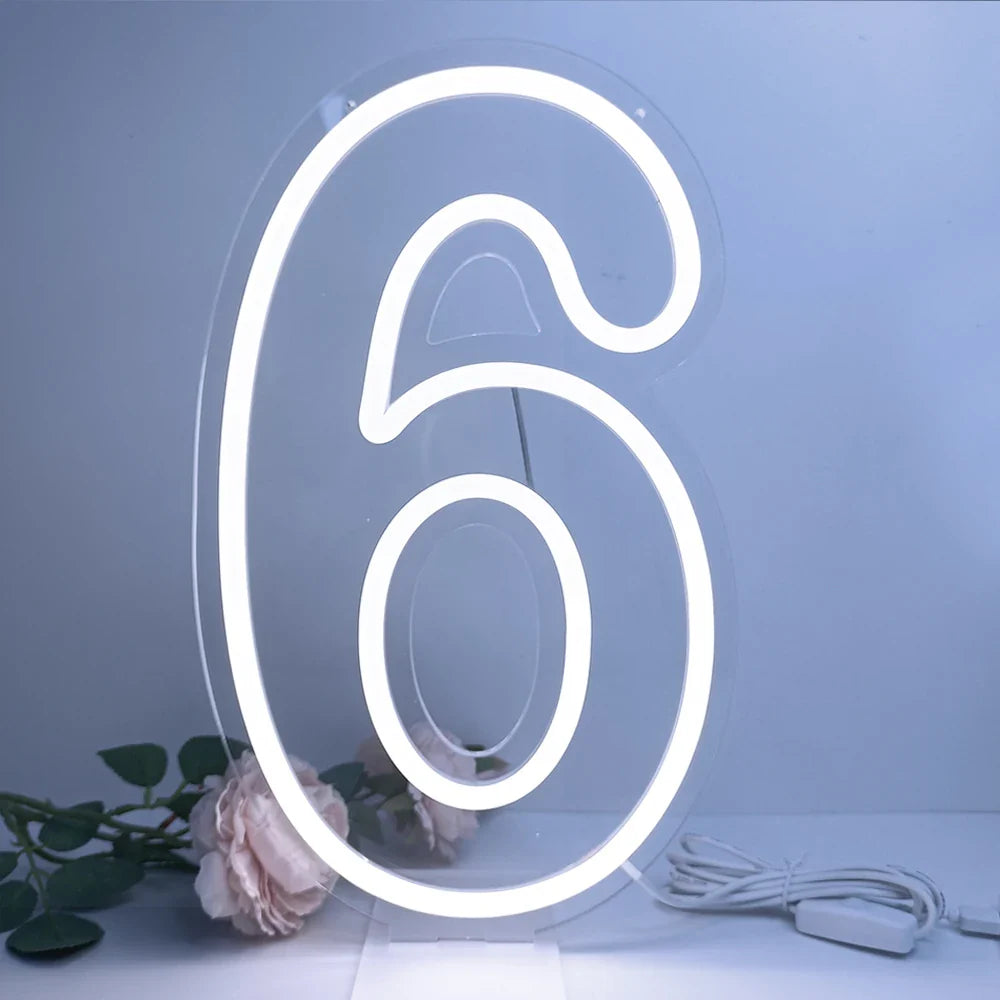 Glowing Numbers 0 to 9 LED Neon Lights 30cm  Numbers for Birthday Party Anniversary Event Home Bar Hotel Art Decoration