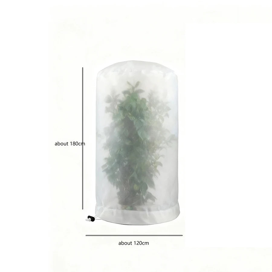 Plant Tent Growing Plants For Home Grow Accessories Greenhouse Tents Garden Supplies Indoor Cultivation Growtent Box Outdoor