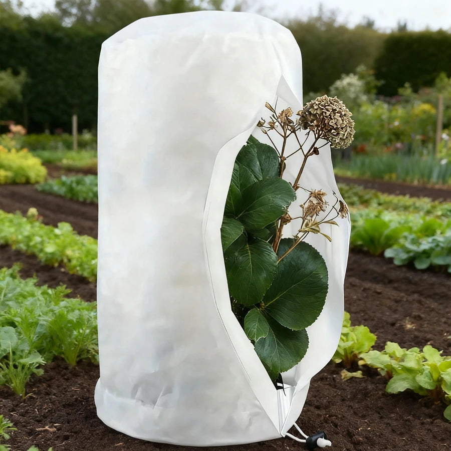 Plant Tent Growing Plants For Home Grow Accessories Greenhouse Tents Garden Supplies Indoor Cultivation Growtent Box Outdoor
