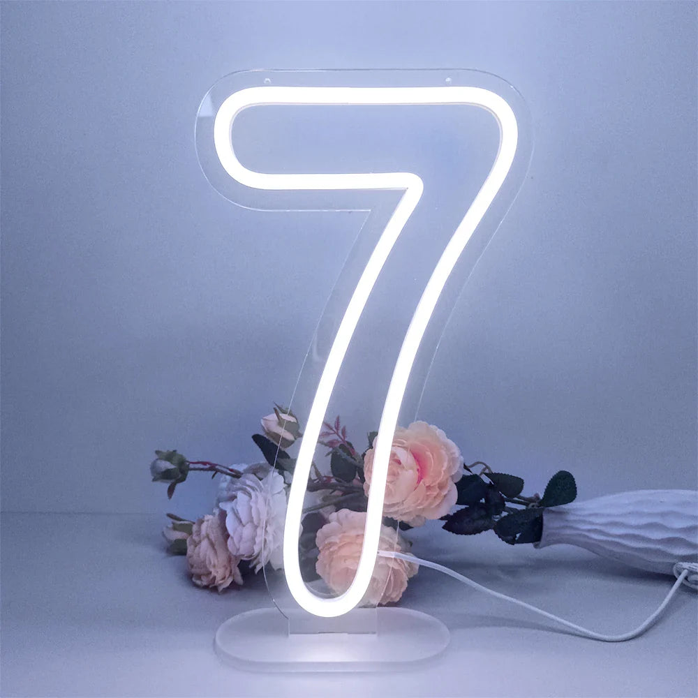 Glowing Numbers 0 to 9 LED Neon Lights 30cm  Numbers for Birthday Party Anniversary Event Home Bar Hotel Art Decoration