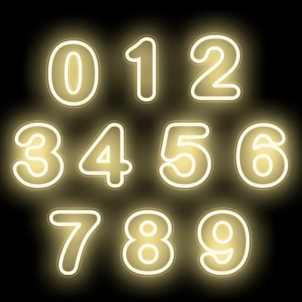 Glowing Numbers 0 to 9 LED Neon Lights 30cm  Numbers for Birthday Party Anniversary Event Home Bar Hotel Art Decoration