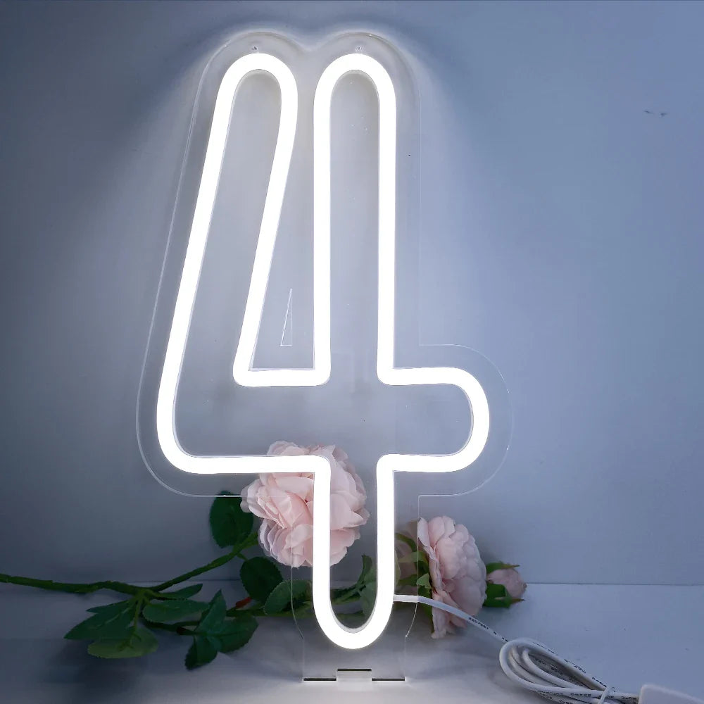 Glowing Numbers 0 to 9 LED Neon Lights 30cm  Numbers for Birthday Party Anniversary Event Home Bar Hotel Art Decoration