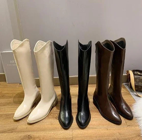Long Boots for Women Middle Heel Spring Autumn Pointed Toe Quality Knee High Shaft Shoes Woman Work Y2k Hot Gyaru Cosplay New In